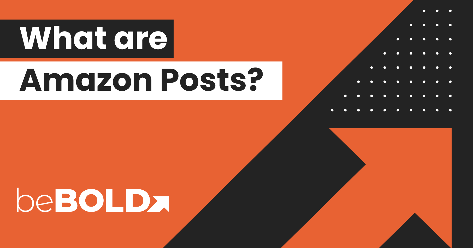 what are Amazon Posts?